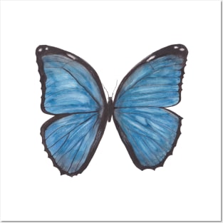 Butterfly - Blue Posters and Art